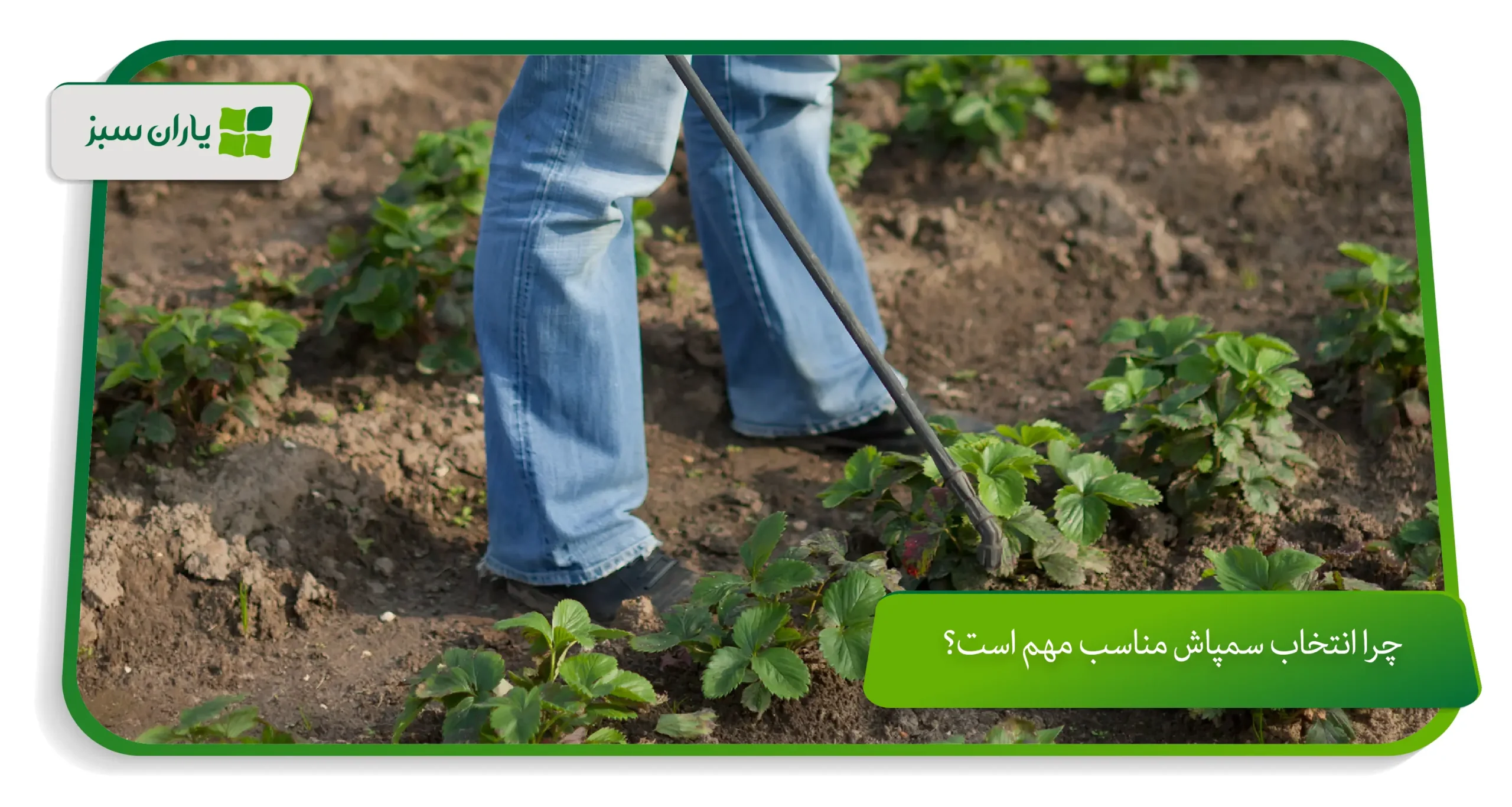 چرا انتخاب سمپاش مناسب مهم است؟