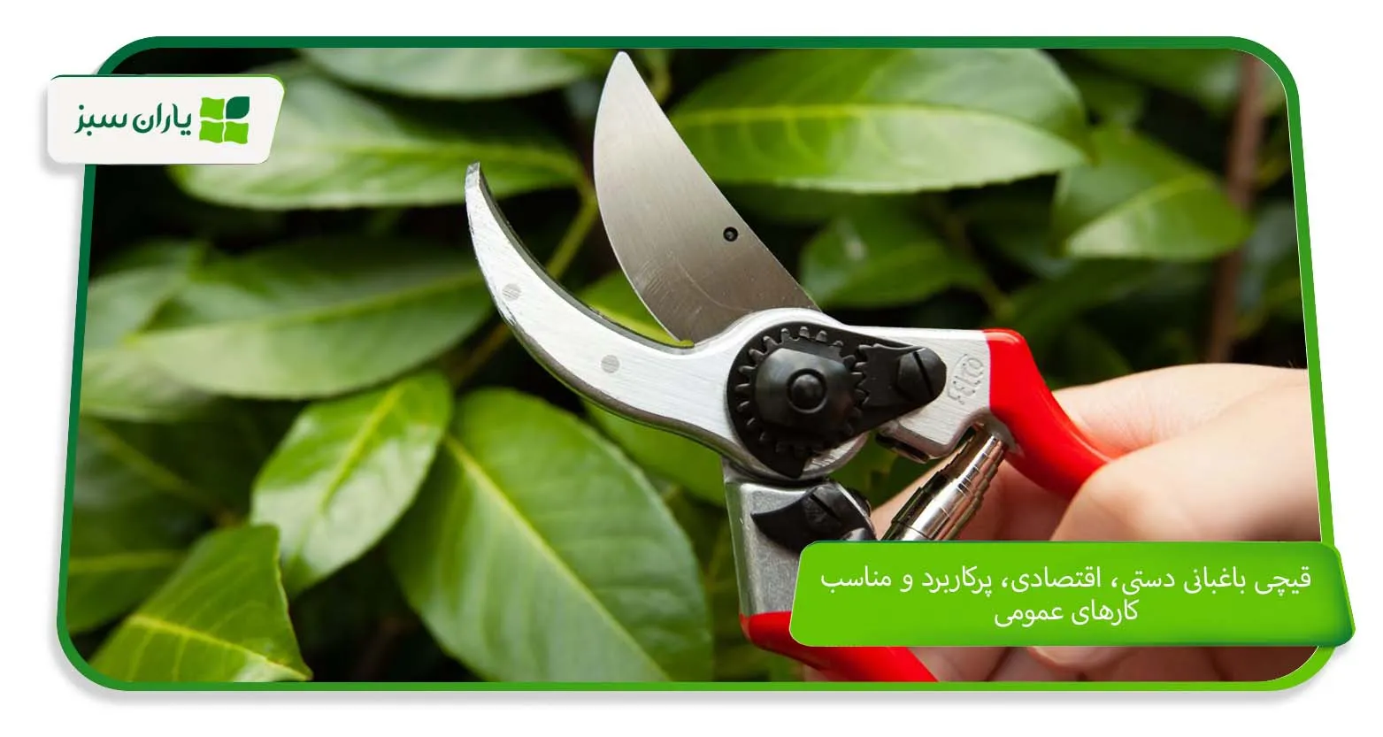 قیچی باغبانی دستی، اقتصادی، پرکاربرد و مناسب کارهای عمومی (yarane-sabz.com)