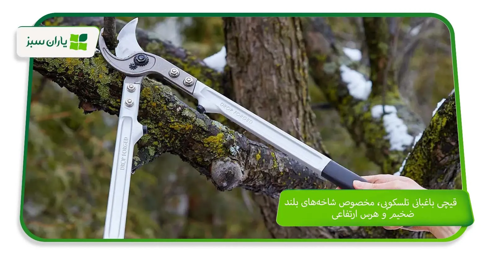 قیچی باغبانی تلسکوپی، مخصوص شاخههای بلند، ضخیم و هرس ارتفاعی (yarane-sabz.com)