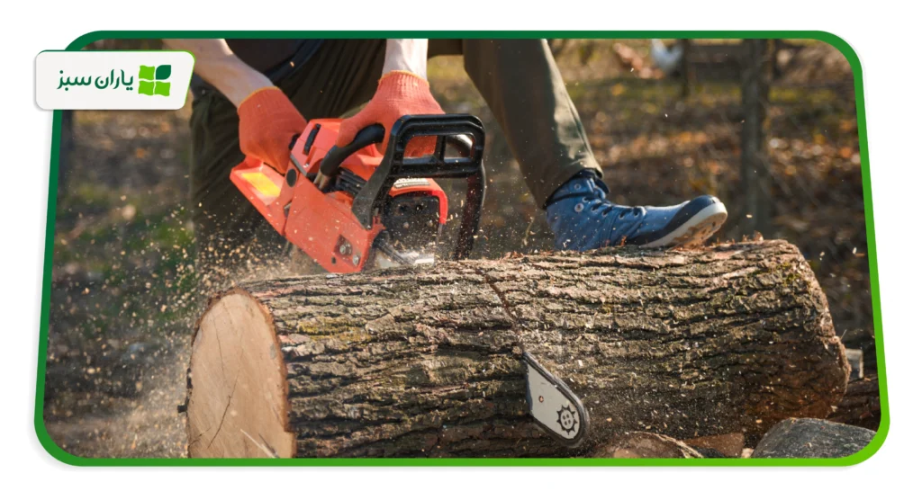 ۱۰ نکته طلایی در استفاده از اره موتوری (yarane-sabz.com)