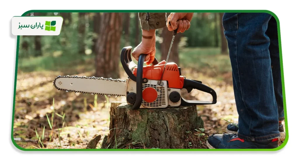 همه چیز درباره اره موتوری از انتخاب تا نگهداری (yarane-sabz.com)