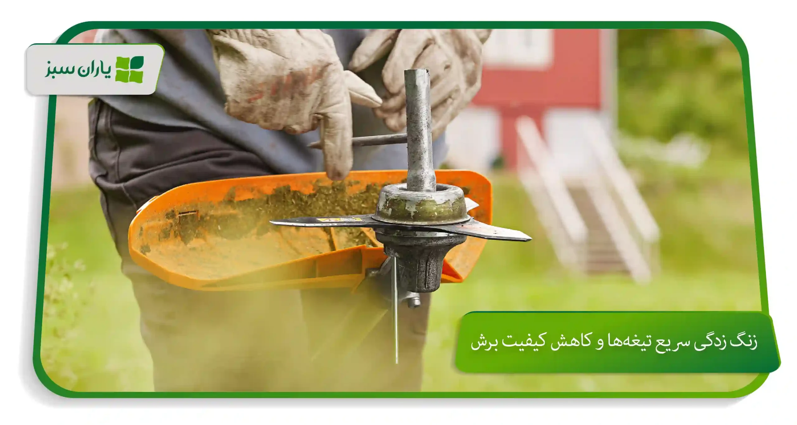 زنگ ‌زدگی سریع تیغه‌ها و کاهش کیفیت برش (yarane-sabz.com)