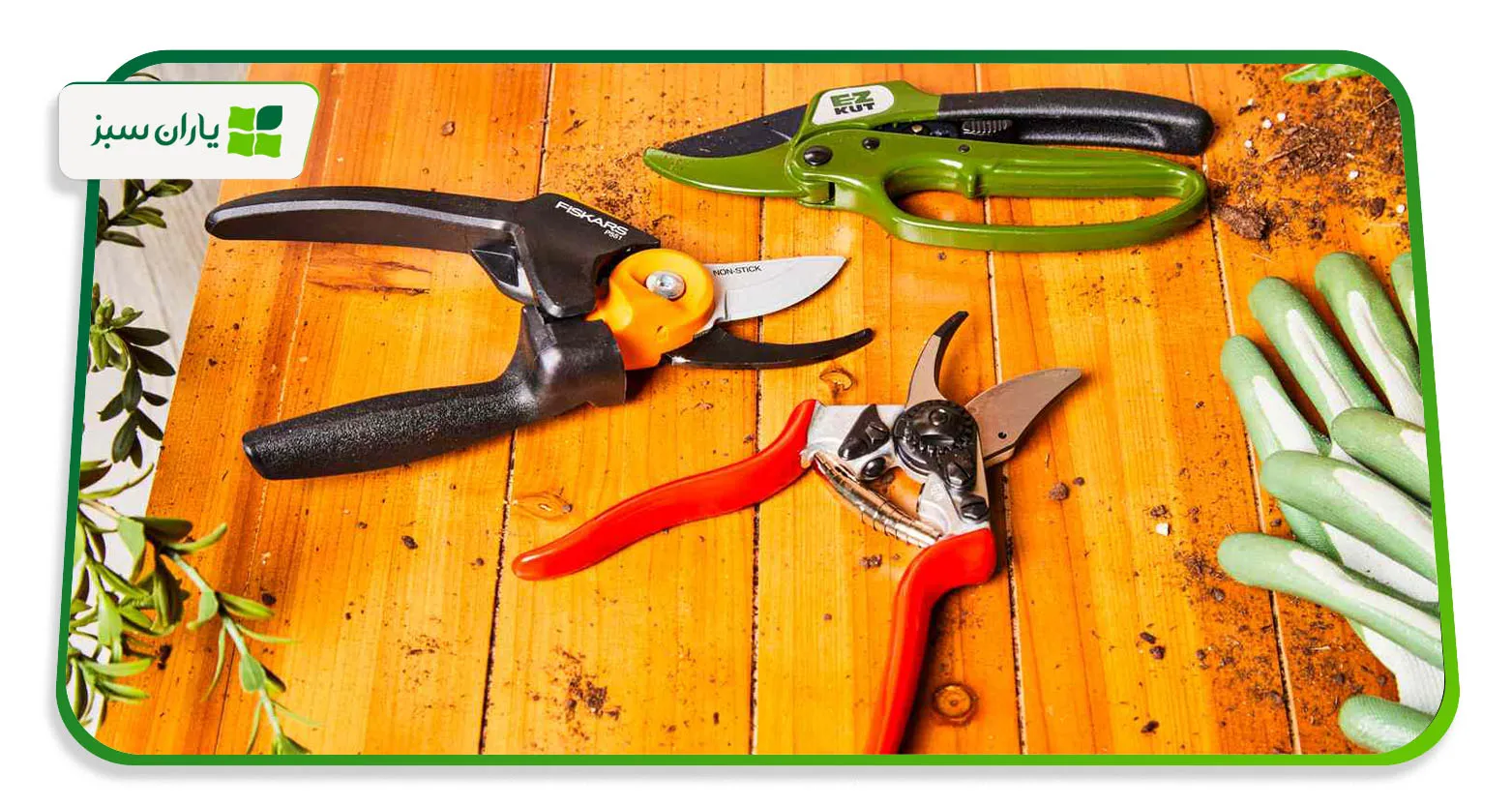 راهنمای جامع انتخاب قیچی باغبانی حرفه‌ای؛ بررسی انواع، کاربردها و نکات مهم خرید (۱۴۰۴) (yarane-sabz.com)