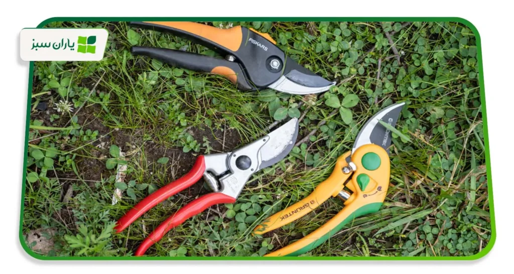 خرید و قیمت قیچی باغبانی در ۱۴۰۴؛ بررسی کامل مدل ‌های پرفروش بازار (yarane-sabz.com)